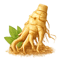 Soursop Root